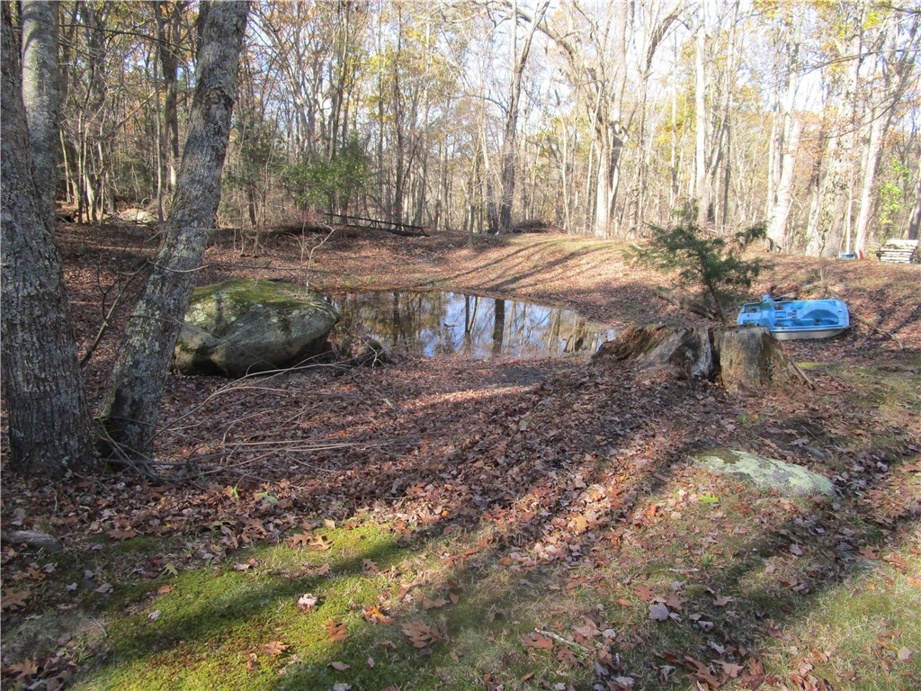 285 Log Bridge Road Coventry, RI 02816 - Photo 12 of 39 Included with this property is a small water feature. Though small is size, the pond is extremely low due to the drought. The banks give an indication of the high water mark. A small brook feeds the pond. It too is dried up due to the lack of rain.