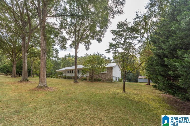 150 Upper 10 Road Anniston, AL 36206 - Photo 4 of 46