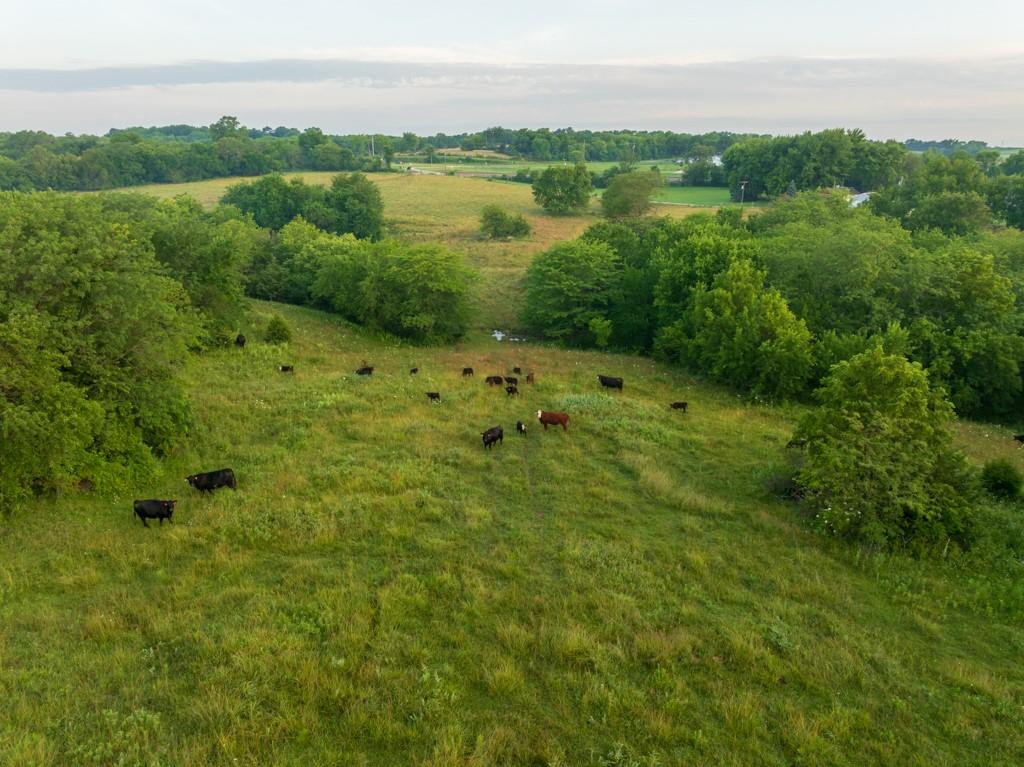 0 Southeast Oliver Road Cowgill, MO 64637 - Photo 21 of 56