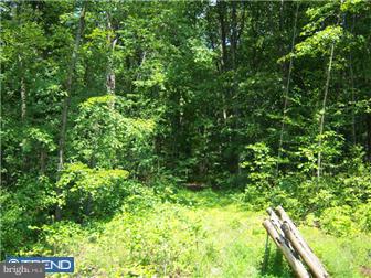 Lot 2 Old Plains Road New Hope, PA 18938 - Photo 1 of 7 Gallery Image 1