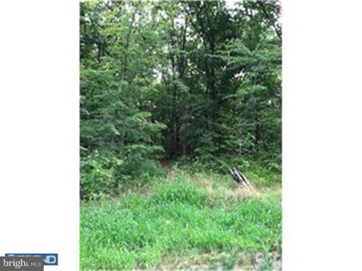 Lot 2 Old Plains Road New Hope, PA 18938 - Photo 7 of 7 Gallery Image 7