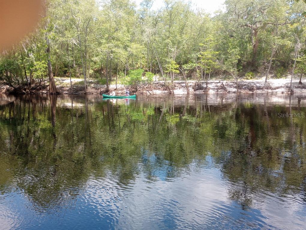 348 Northwest Null Road White Springs, FL 32096 - Photo 31 of 34