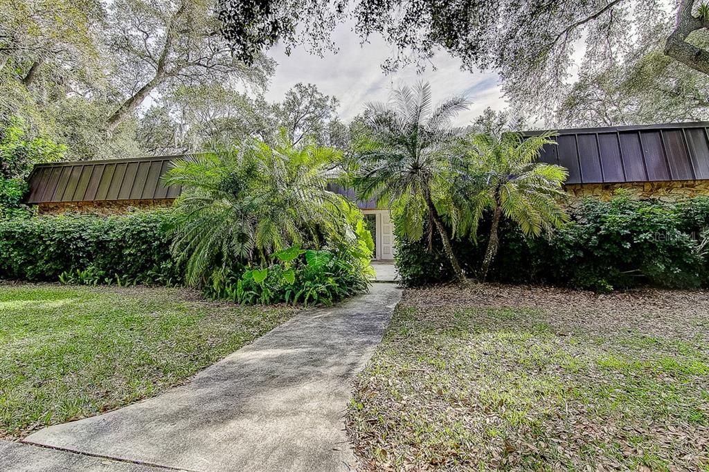 a view of a back yard