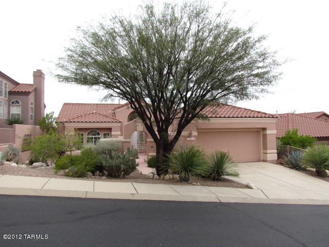 10083 North Bighorn Butte Drive Tucson, AZ 85737 - Photo 19 of 45