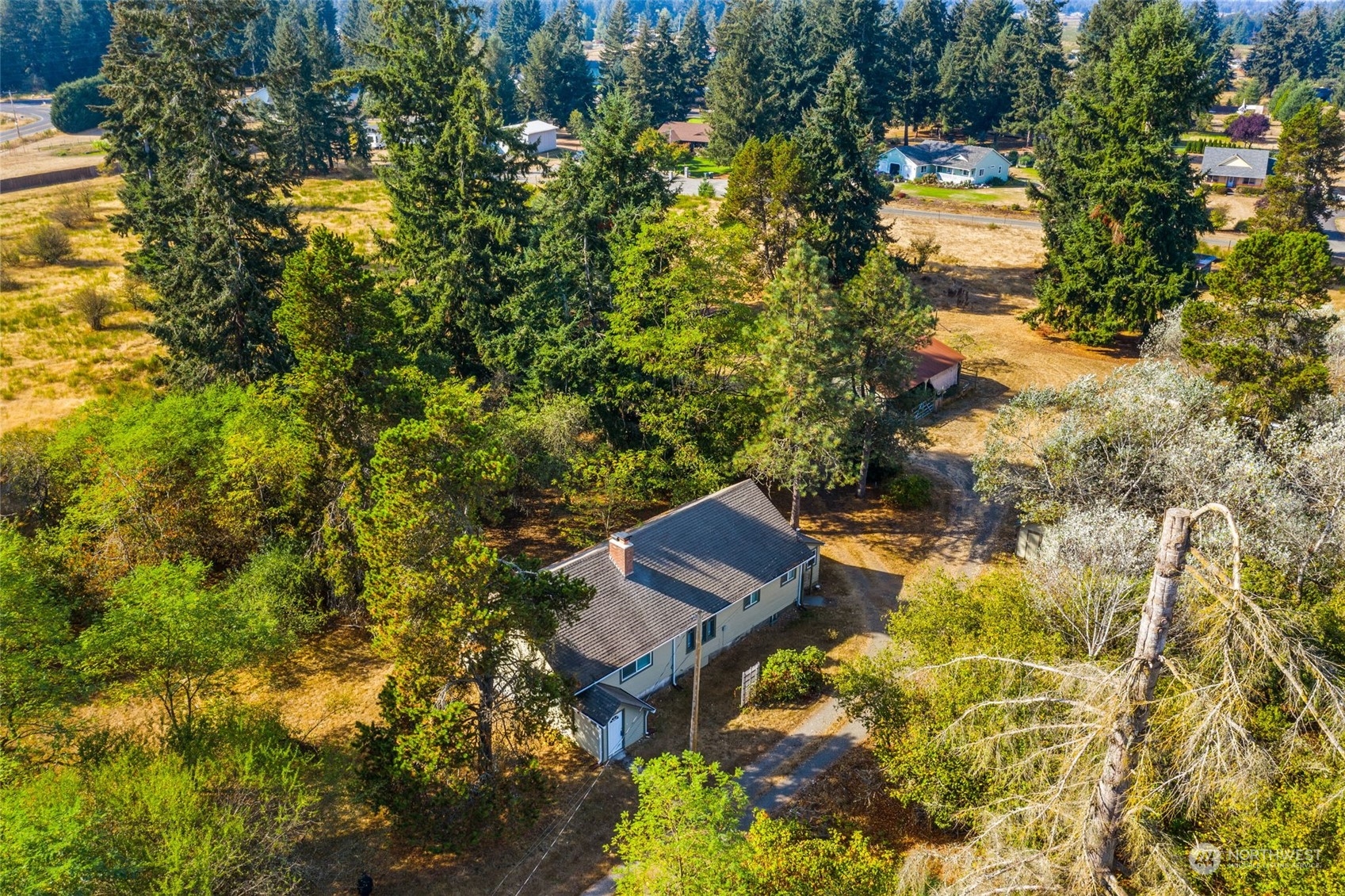 18127 Case Road Southwest Rochester, WA 98579 - Photo 23 of 37 a view of a yard with plants and large trees