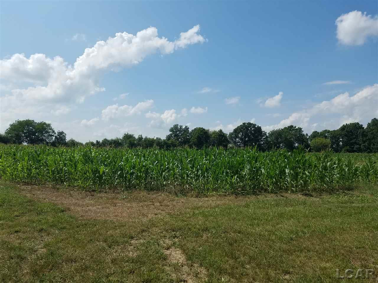 11633 Strasburg Road Erie, MI 48133 - Photo 6 of 9