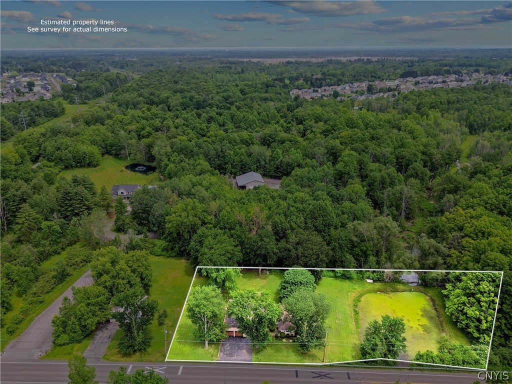 8252 Maple Road Clay, NY 13041 - Photo 46 of 49