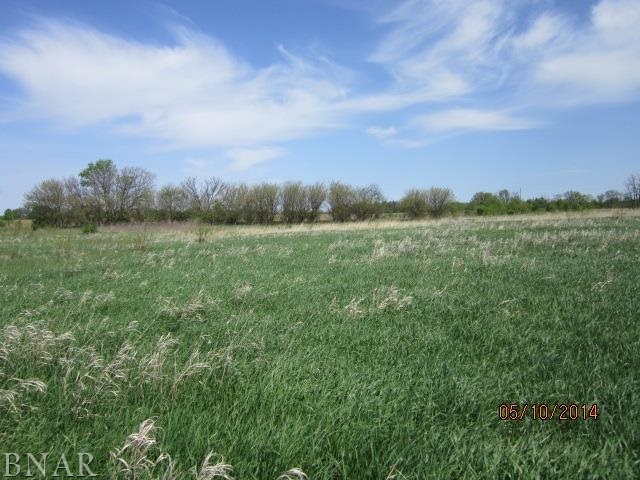 9 200th Road East Danvers, IL 61732 - Photo 3 of 11