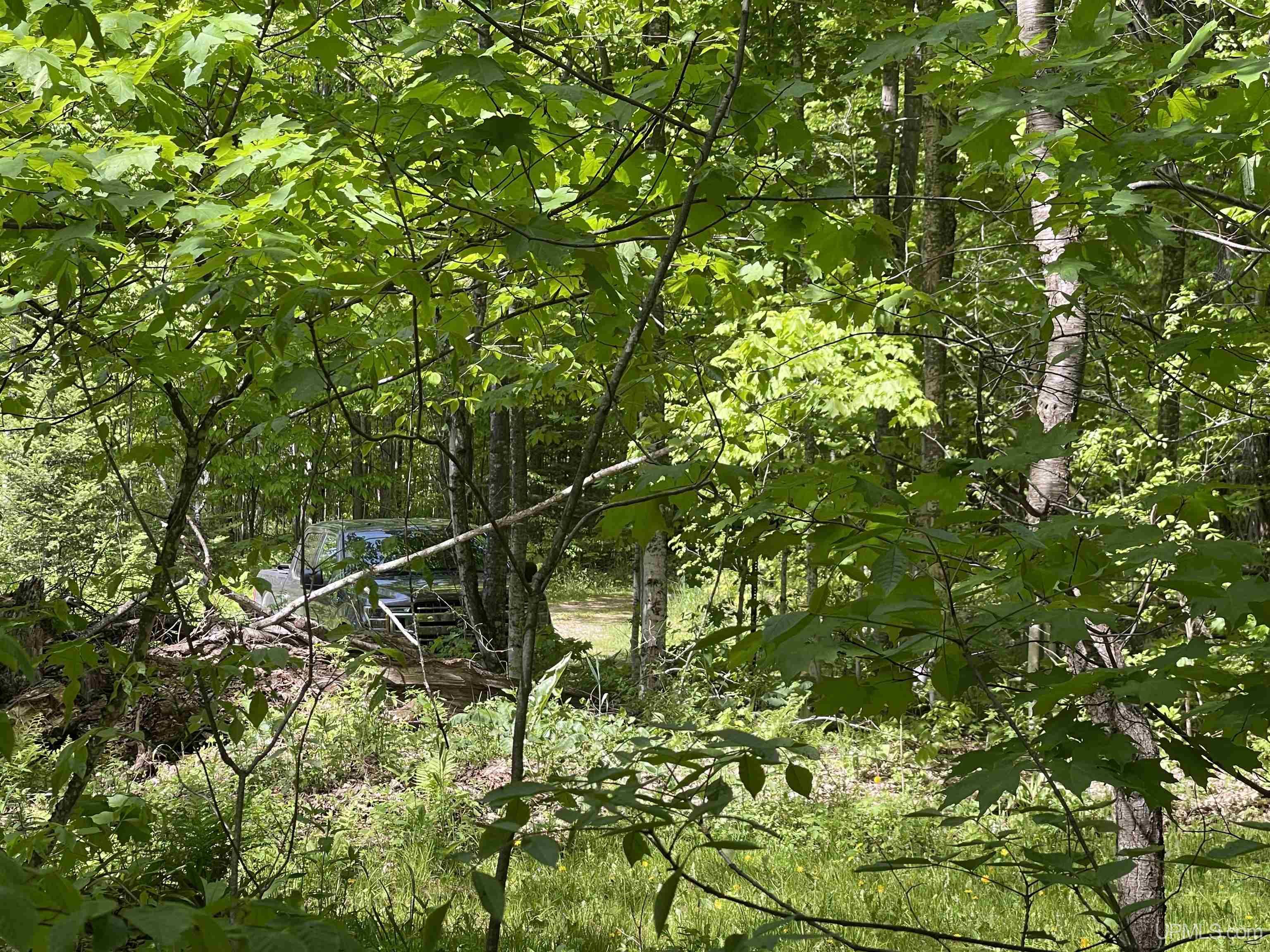 Tbd Tbd Banking Ground Road Germfask, MI 49836 - Photo 4 of 36