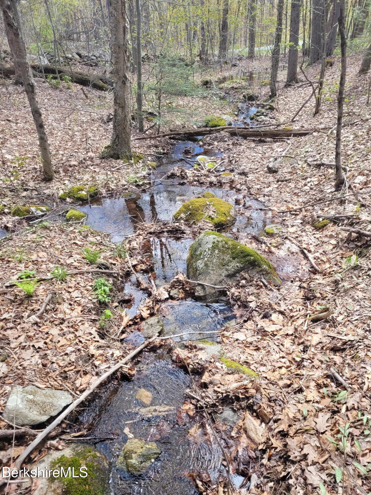 Lot 3 Town Hill Road Sandisfield, MA 01255 - Photo 4 of 16 20260501_124701