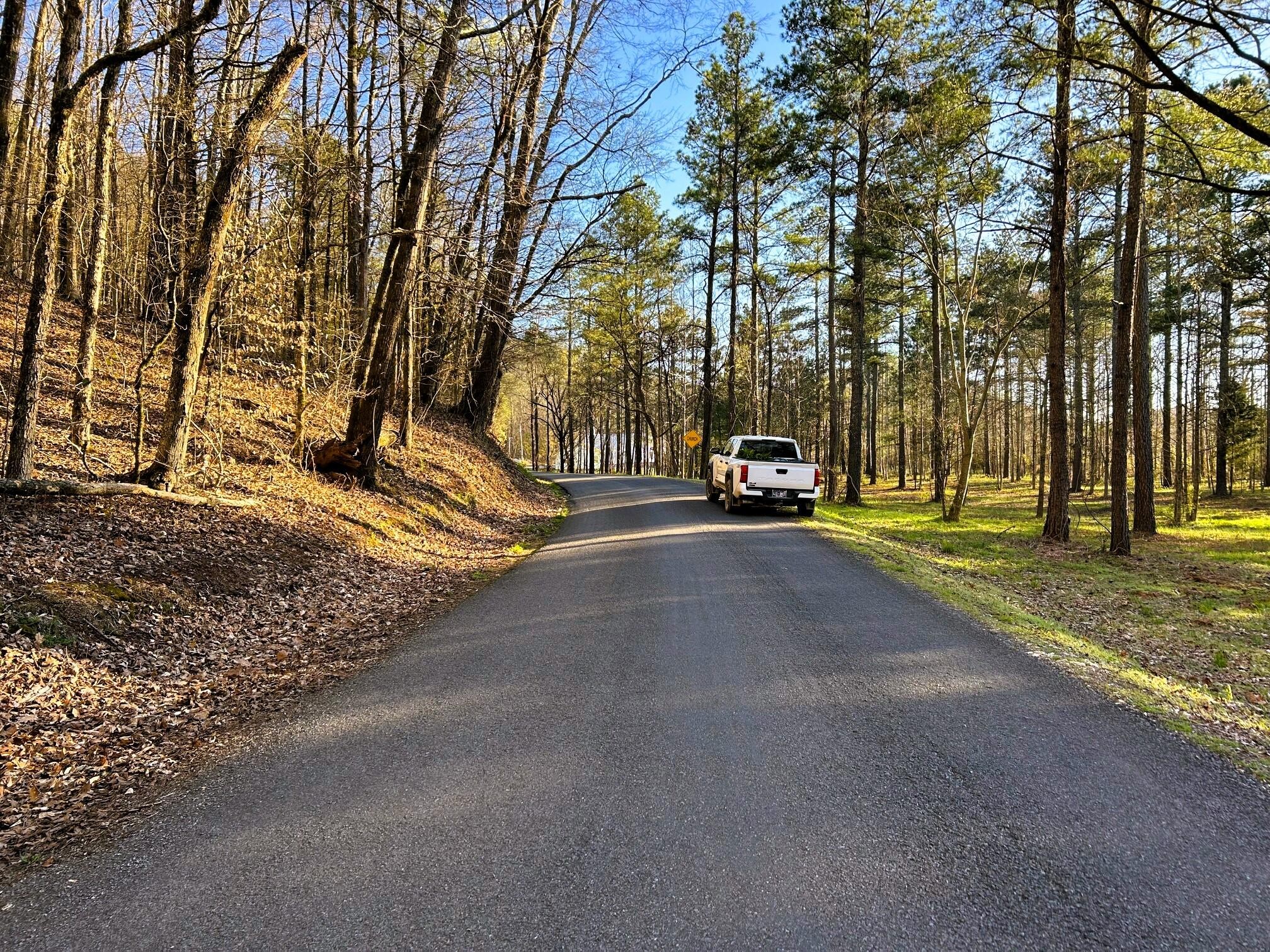 4 County Road 950 Charleston, TN 37310 - Photo 8 of 15