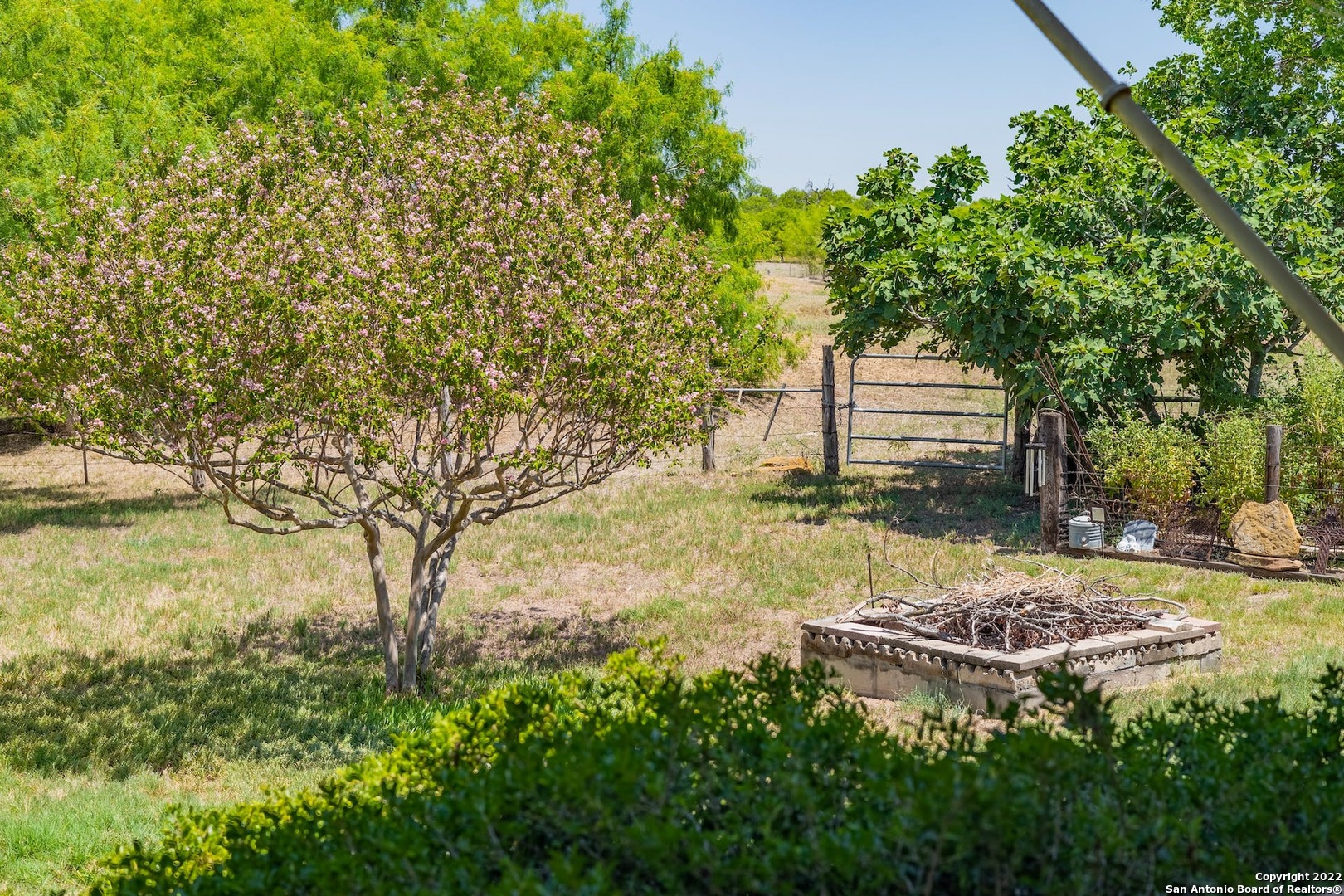 11801 Jim Terrill Road Adkins, TX 78101 - Photo 29 of 46