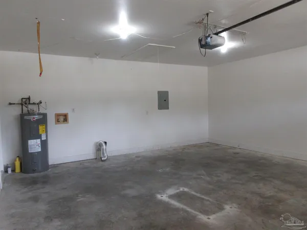 a view of a tree in a yard