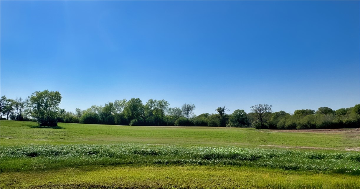 a view of a grassy field with trees in the background