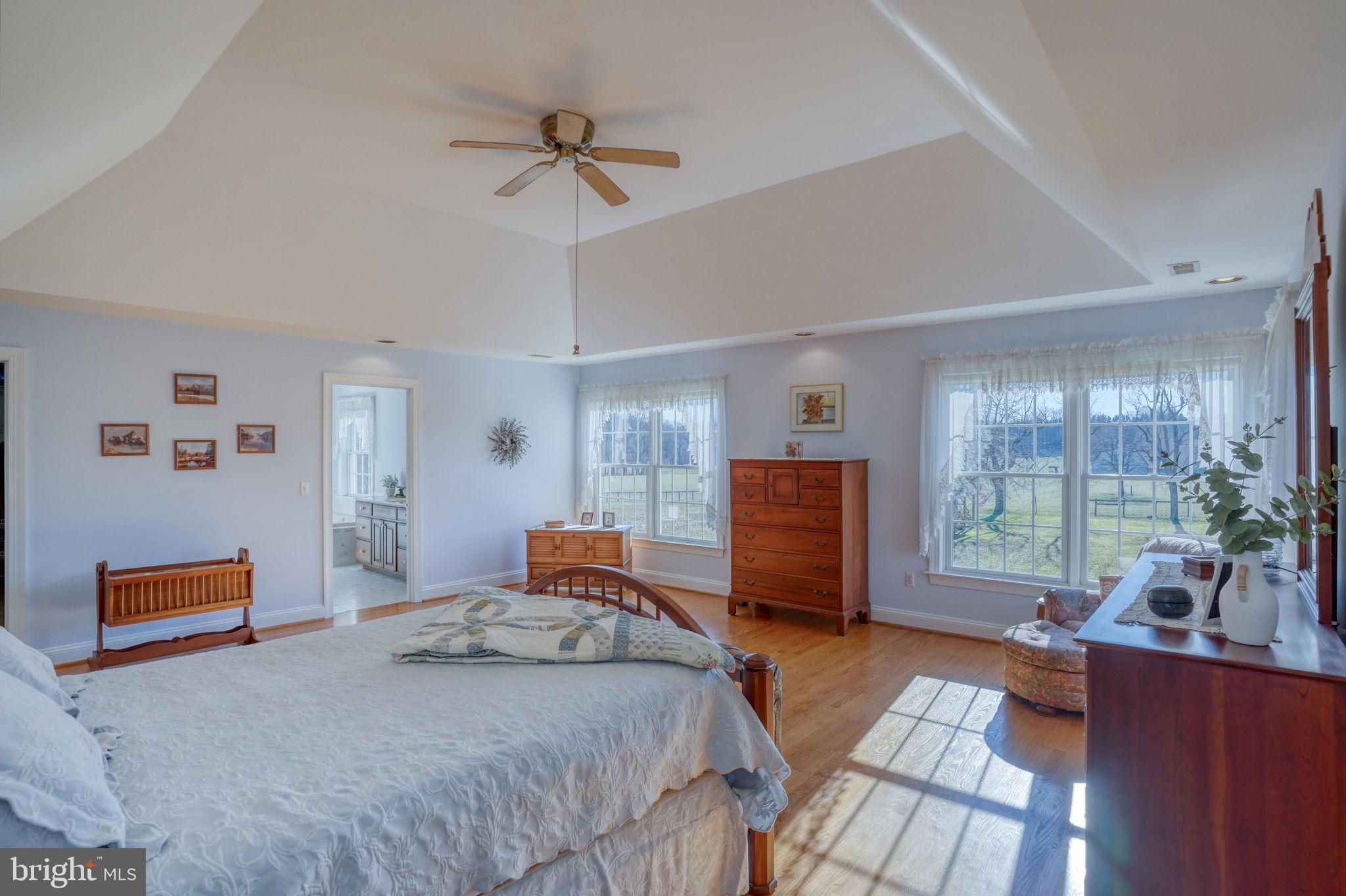 532 Stoney Battery Road Earleville, MD 21919 - Photo 36 of 84 Deep tray ceiling