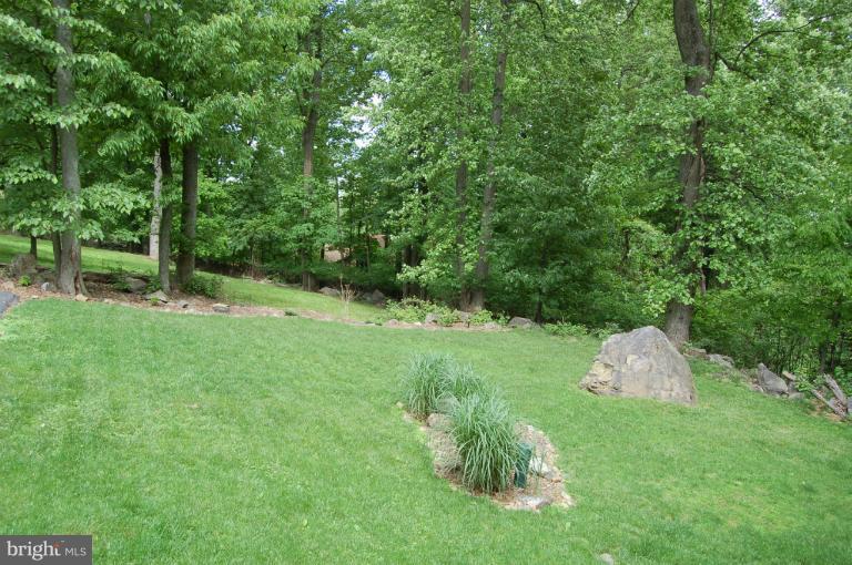 195 Salt Lick Road Front Royal, VA 22630 - Photo 1 of 30 Front yard