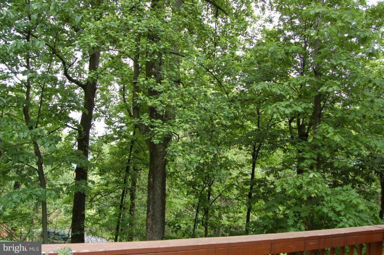 195 Salt Lick Road Front Royal, VA 22630 - Photo 16 of 30 Wooded view