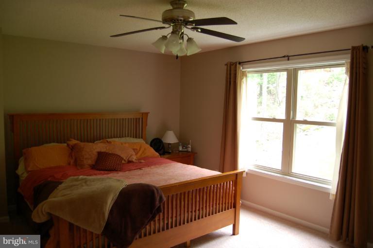 195 Salt Lick Road Front Royal, VA 22630 - Photo 18 of 30 Bedroom (Master)