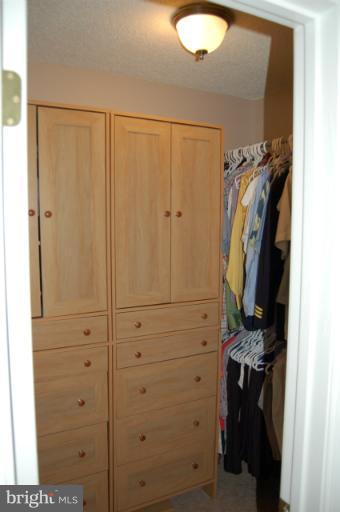 195 Salt Lick Road Front Royal, VA 22630 - Photo 20 of 30 Walk in closet