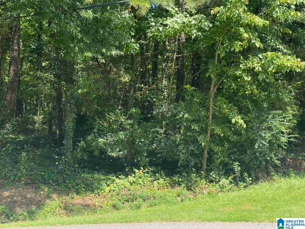 Cheyenne Street, Unit 40 Springville, AL 35146 - Photo 1 of 1