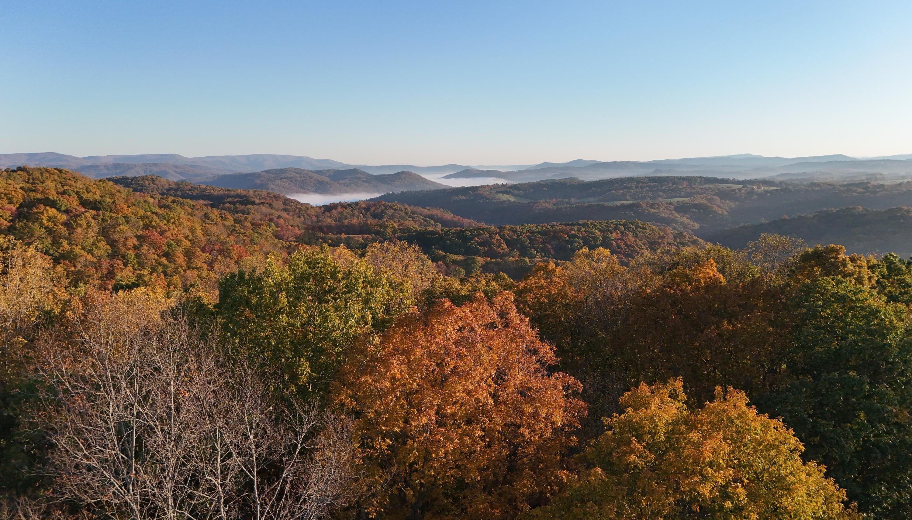 1308 Seminole Road Forest Hill, WV 24935 - Photo 34 of 39 Gallery Image 34