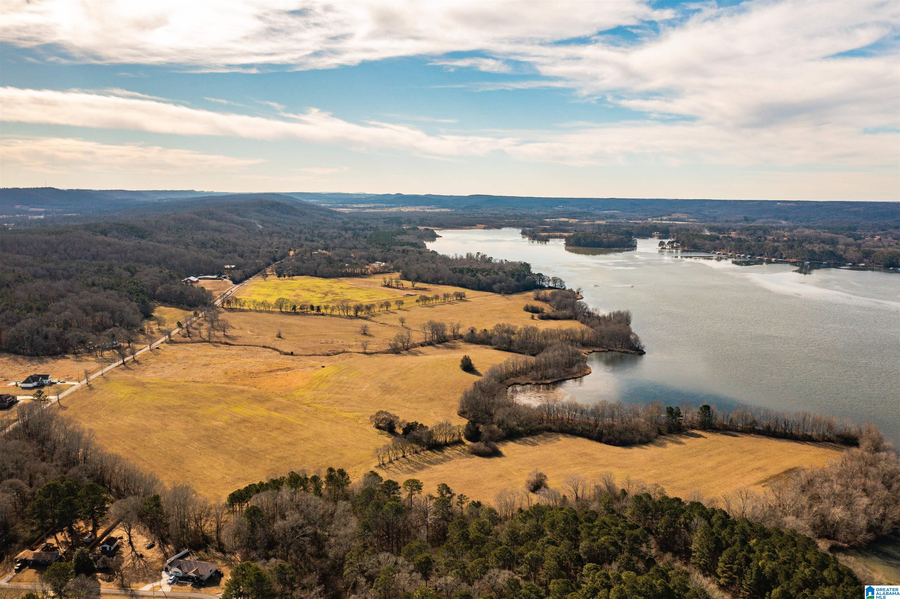 0 Browns Valley Road Guntersville, AL 35976 - Photo 7 of 39