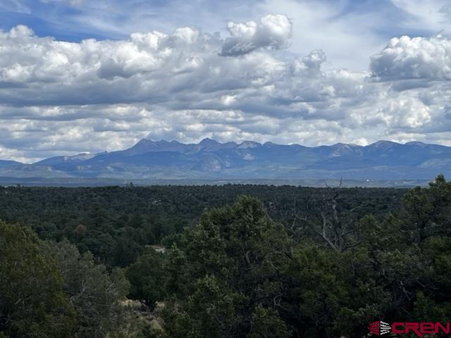 Lot 103 Road 35 Mancos Co 81328 Mancos, CO 81328 - Photo 2 of 10 a view of a city with lush green forest