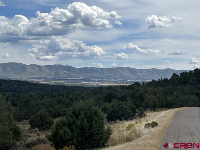 Lot 103 Road 35 Mancos Co 81328 Mancos, CO 81328 - Photo 3 of 10 a view of a lake in middle of forest