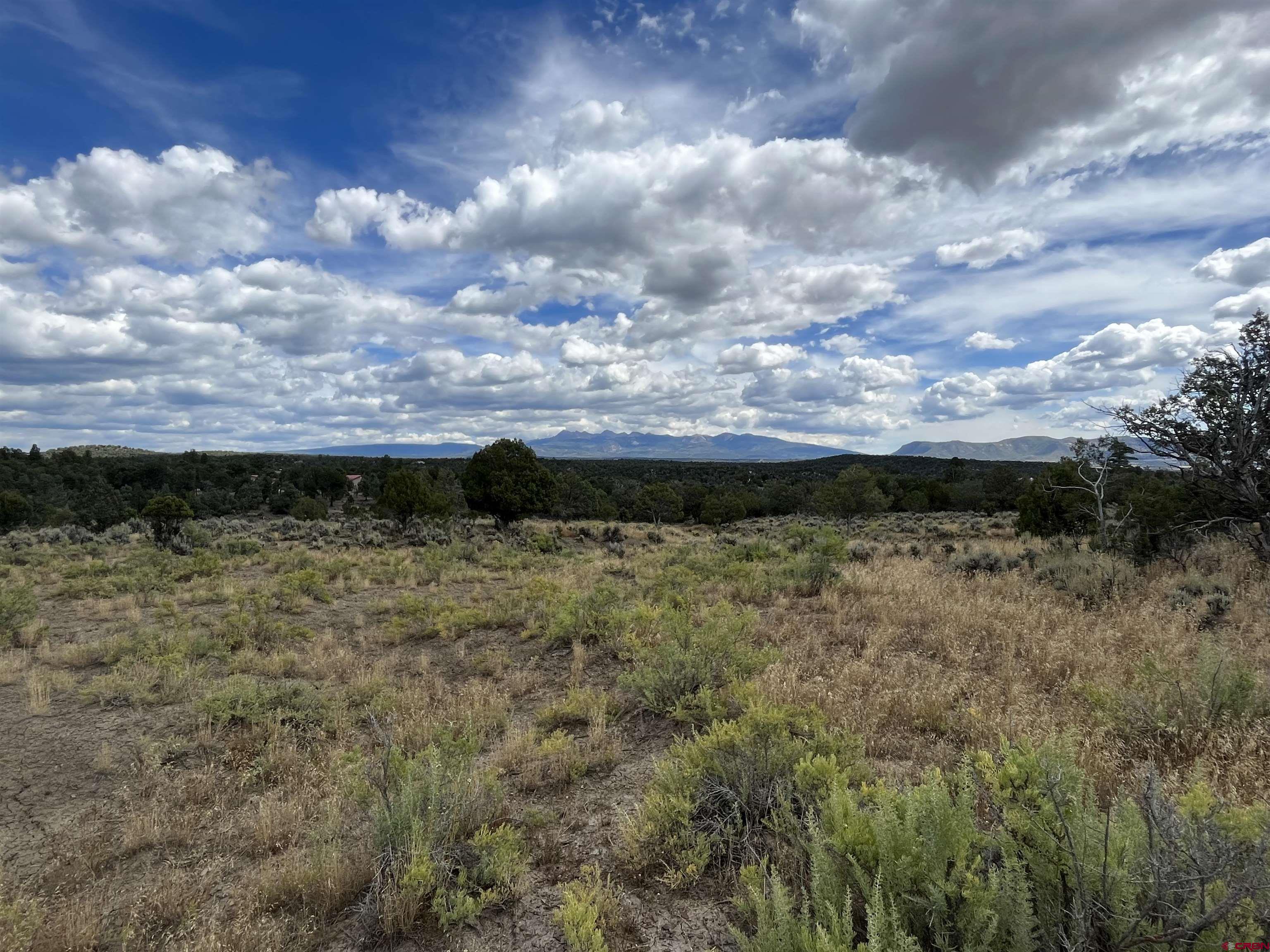Lot 103 Road 35 Mancos Co 81328 Mancos, CO 81328 - Photo 4 of 10 a view of a yard