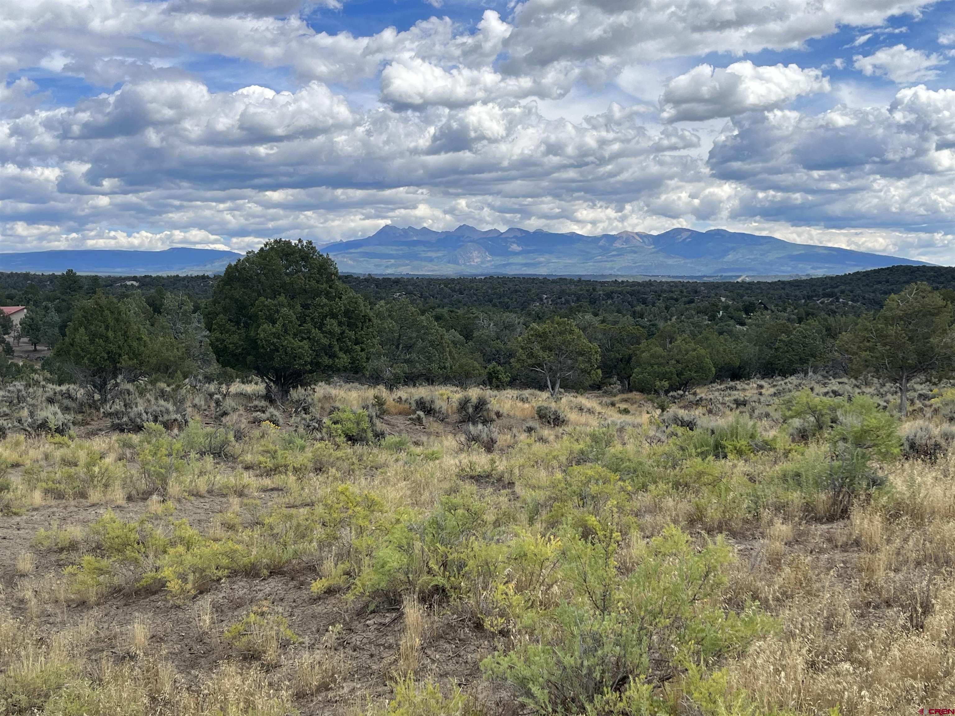 Lot 103 Road 35 Mancos Co 81328 Mancos, CO 81328 - Photo 5 of 10 a view of a yard