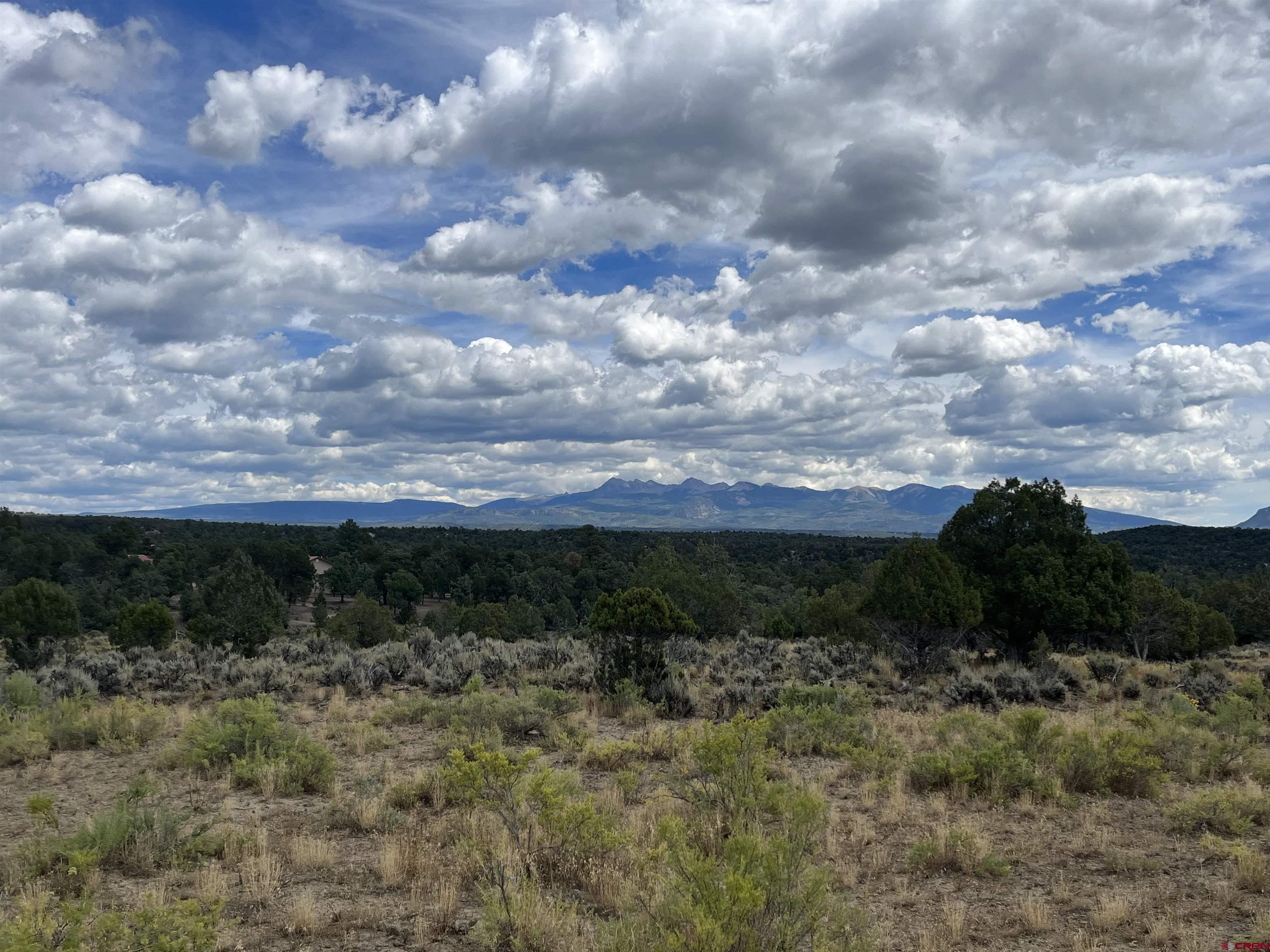 Lot 103 Road 35 Mancos Co 81328 Mancos, CO 81328 - Photo 6 of 10 a view of a yard