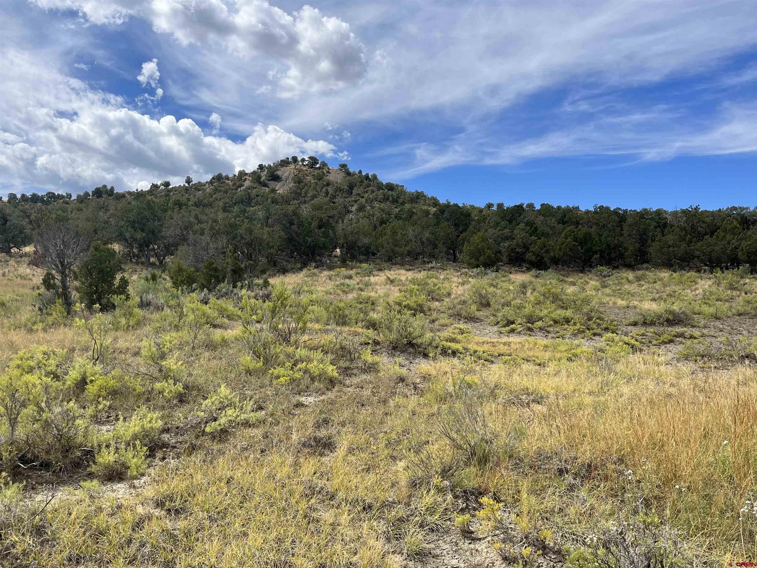 Lot 103 Road 35 Mancos Co 81328 Mancos, CO 81328 - Photo 8 of 10 a view of an outdoor space and a yard