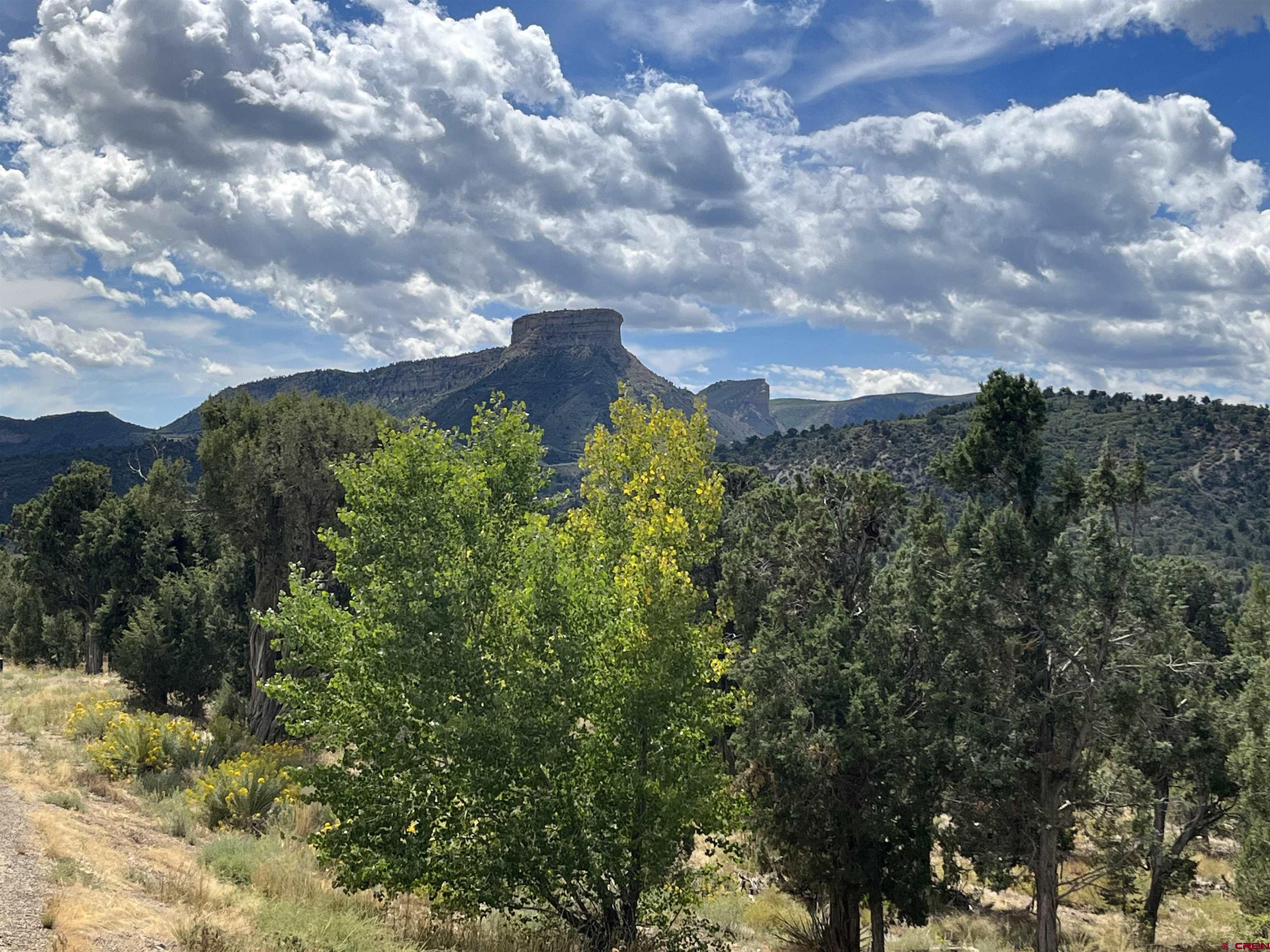 Lot 103 Road 35 Mancos Co 81328 Mancos, CO 81328 - Photo 9 of 10 a view of a bunch of trees