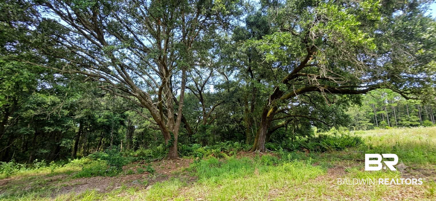 21373 Ima Brill Road Robertsdale, AL 36567 - Photo 7 of 25 Gallery Image 7