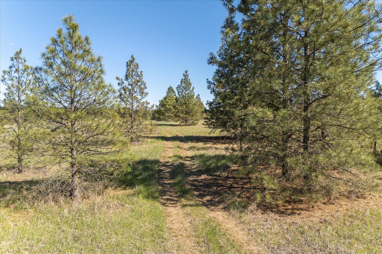 -xx North Rambo Road Spokane, WA 99224 - Photo 17 of 17