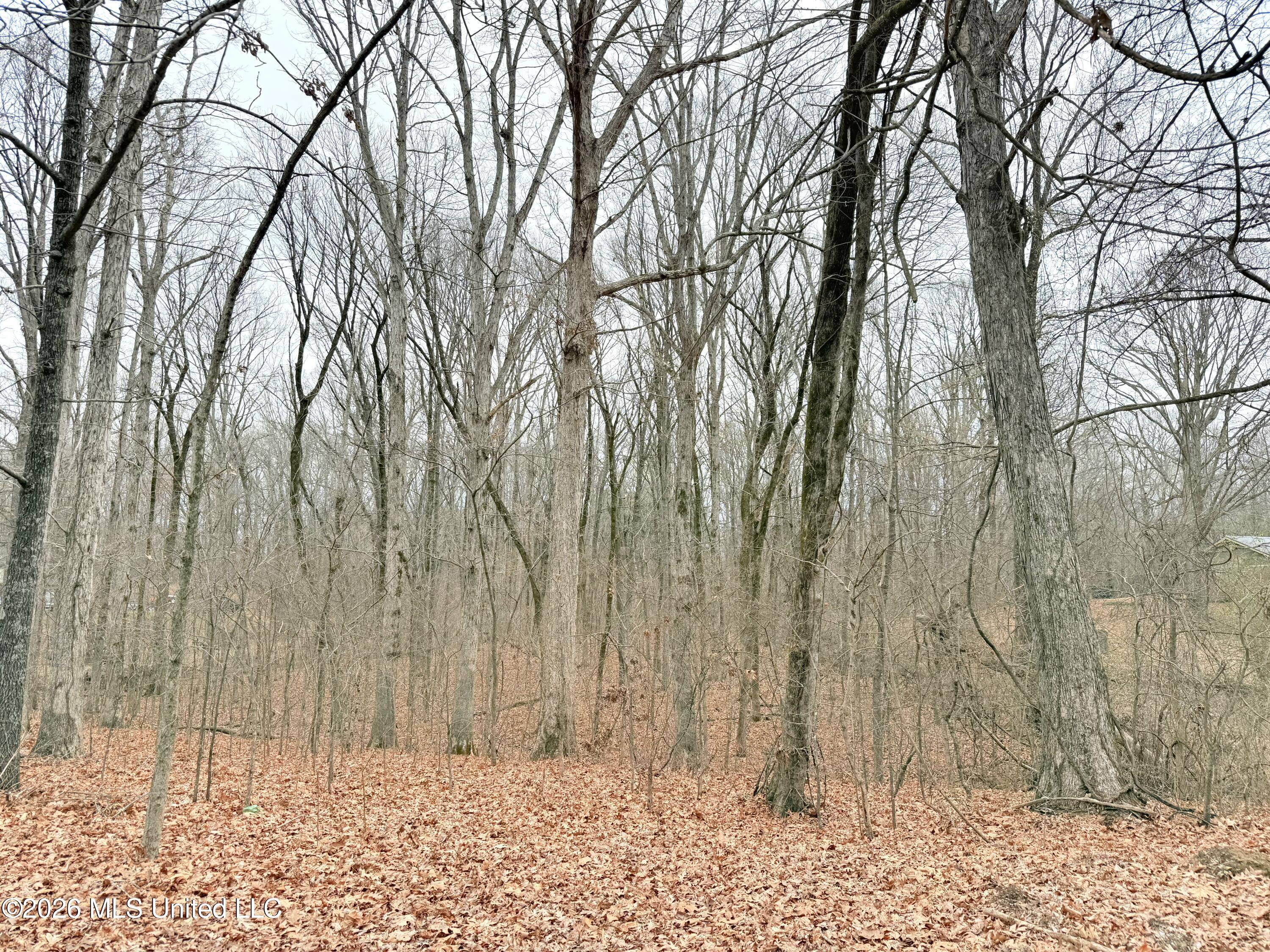 Pioneer Village Road Senatobia, MS 38668 - Photo 1 of 7 .