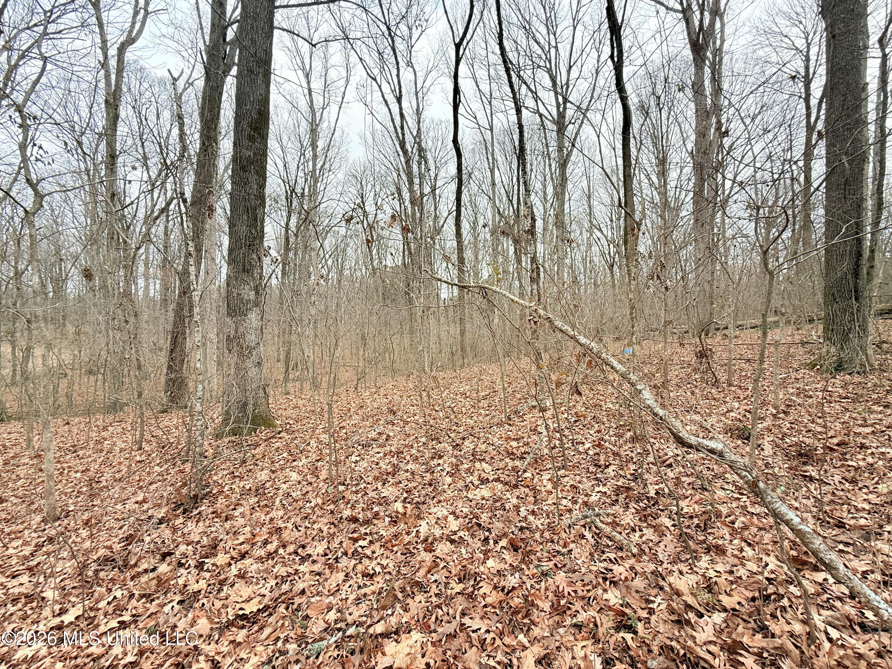 Pioneer Village Road Senatobia, MS 38668 - Photo 3 of 7 IMG_3749