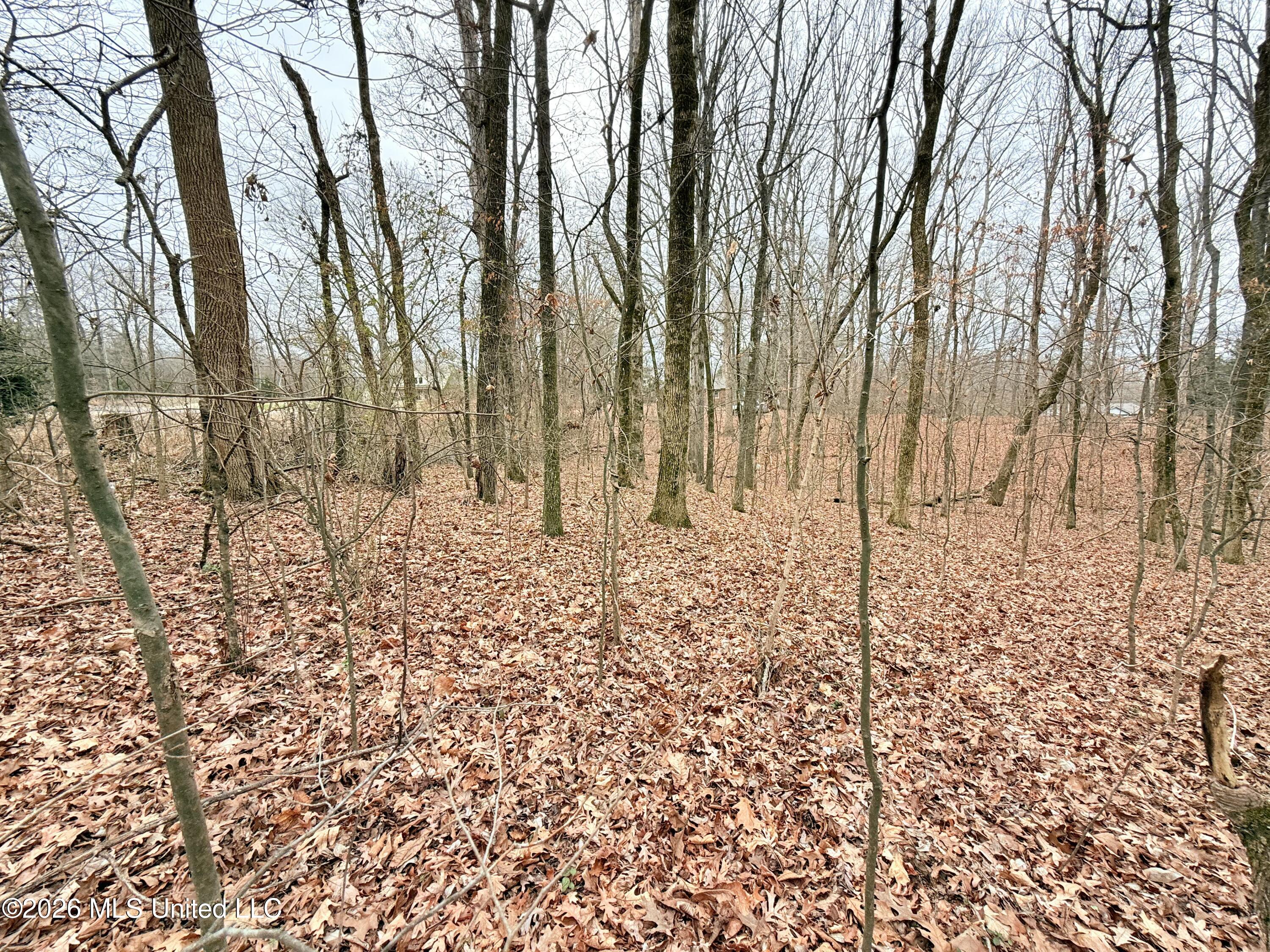 Pioneer Village Road Senatobia, MS 38668 - Photo 4 of 7 IMG_3750