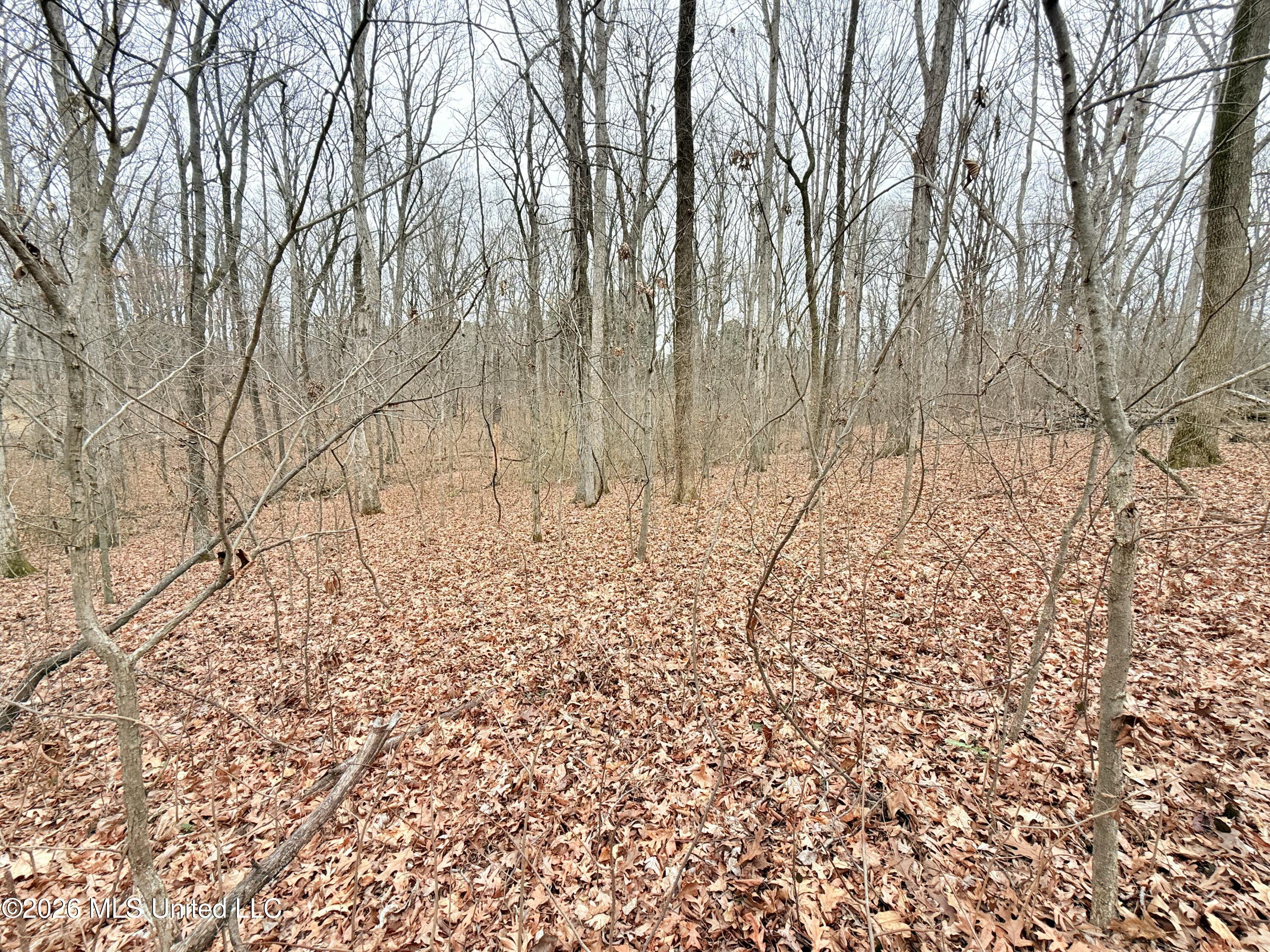 Pioneer Village Road Senatobia, MS 38668 - Photo 5 of 7 IMG_3751