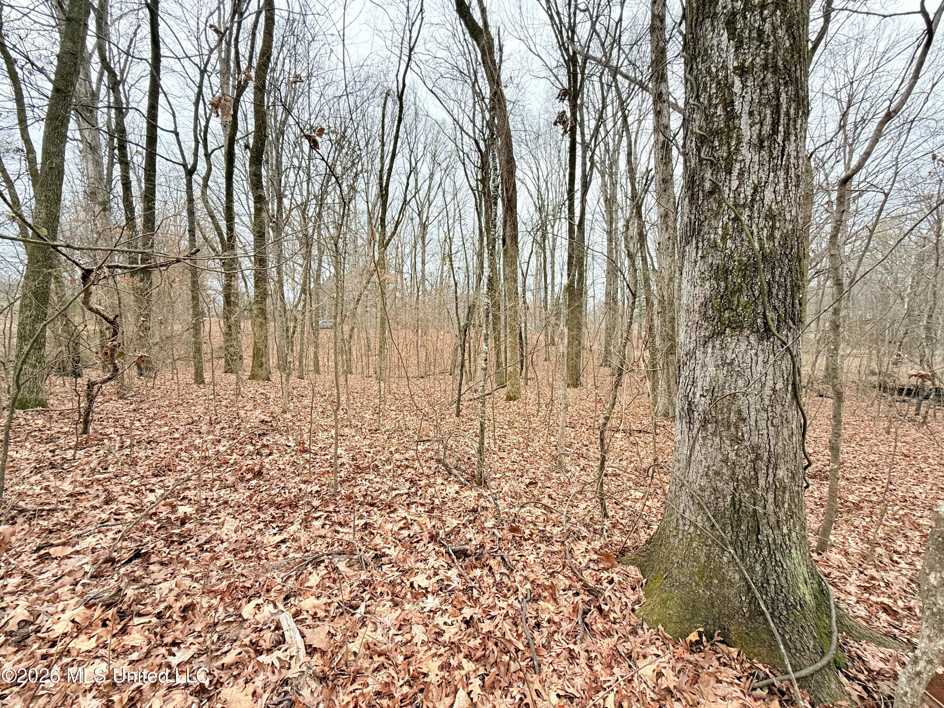 Pioneer Village Road Senatobia, MS 38668 - Photo 6 of 7 IMG_3752