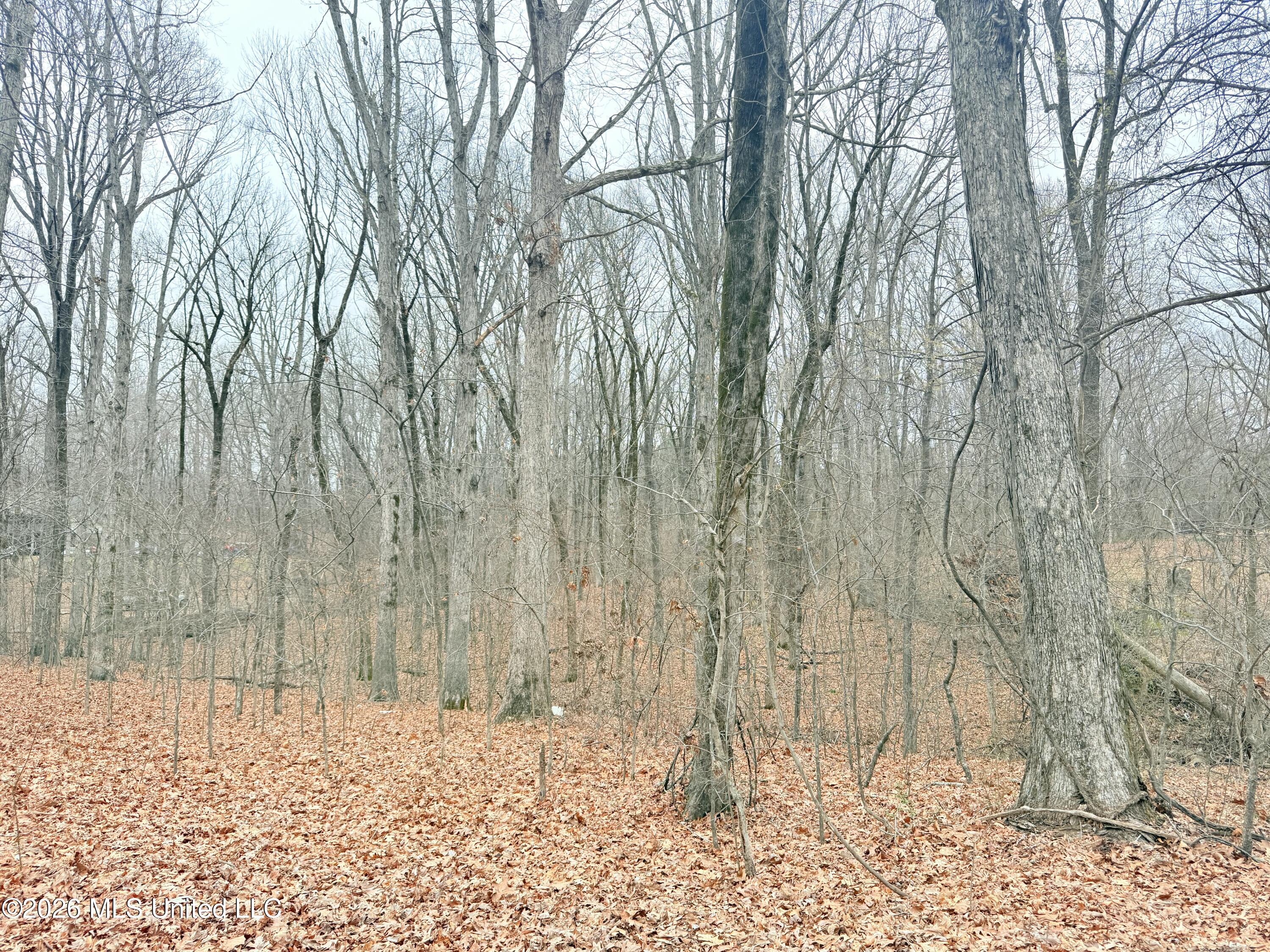 Pioneer Village Road Senatobia, MS 38668 - Photo 7 of 7 IMG_3753