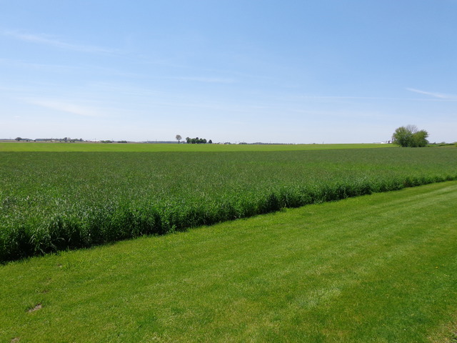 1S652 Miner Road Maple Park, IL 60151 - Photo 21 of 21