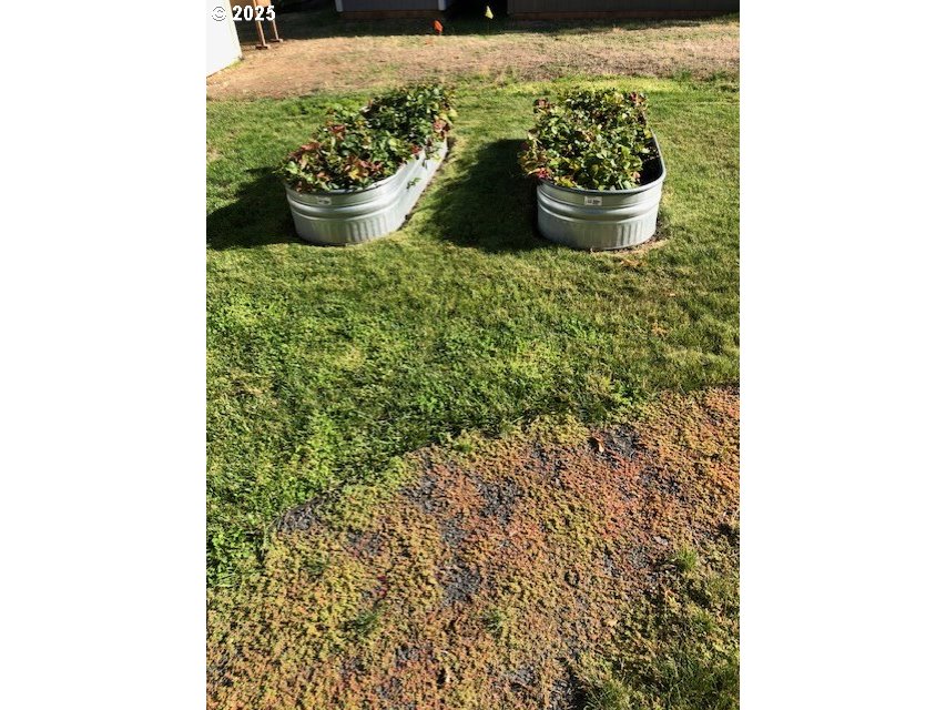 1475 Green Acres Road, Unit 76 Eugene, OR 97408 - Photo 19 of 22 a bathroom with a sink and a potted plant