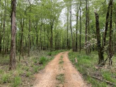 2647 Dominick Road Liberty, MS 39645 - Photo 13 of 27 Photo 13