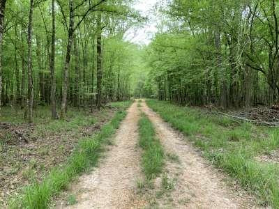 2647 Dominick Road Liberty, MS 39645 - Photo 3 of 27 Photo 3