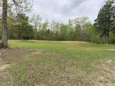 2647 Dominick Road Liberty, MS 39645 - Photo 5 of 27 Photo 5