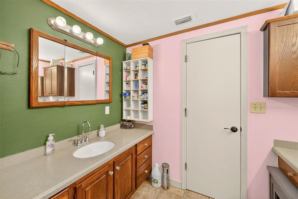 2635 North Dover Road Dover, FL 33527 - Photo 39 of 84 a bathroom with a sink a mirror and a shower