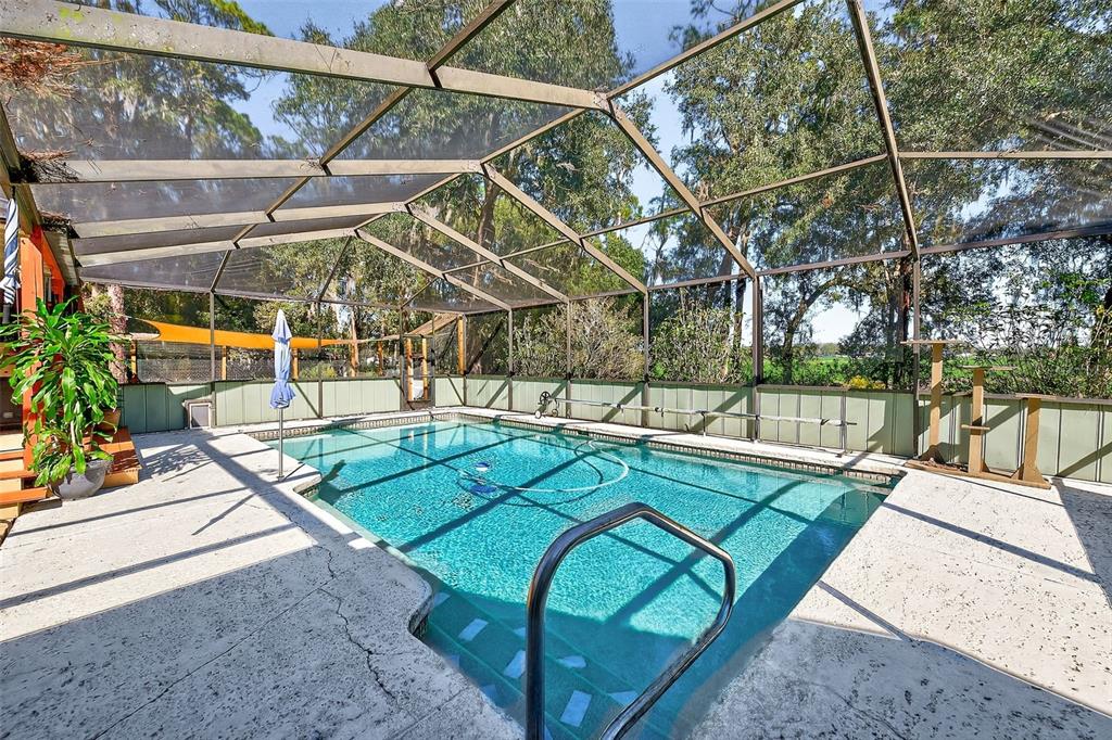 2635 North Dover Road Dover, FL 33527 - Photo 54 of 84 a view of a swimming pool with a patio and plants