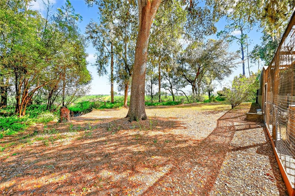 2635 North Dover Road Dover, FL 33527 - Photo 65 of 84