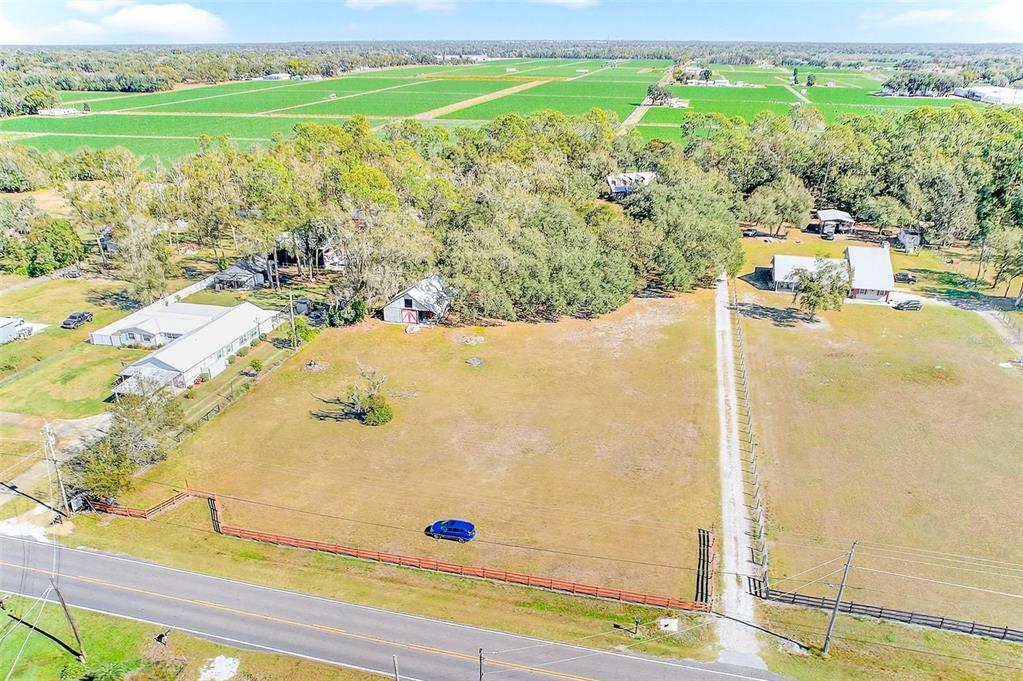 2635 North Dover Road Dover, FL 33527 - Photo 75 of 84